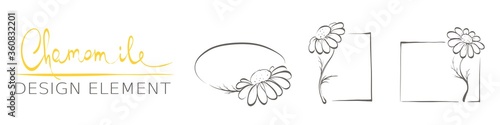 Decorative daisies. Set vector design elements, frame of chamomile.