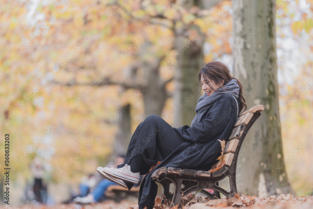 Obraz premium プラタナスの紅葉並木とベンチに座る女性