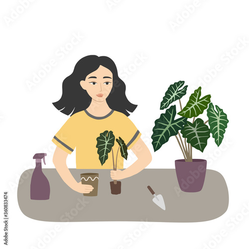 Woman transplanting young plant into a new pot. Girl replanting houseplant on the table. Home garden concept. Vector illustration.