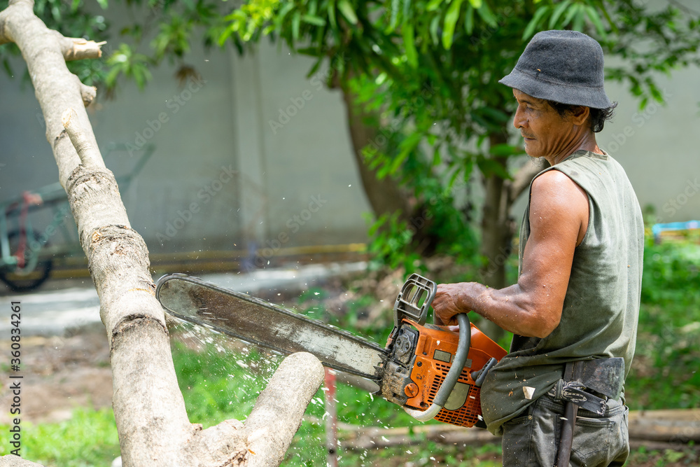 Obraz premium Portrait of arborist cutting the log by chainsaw machine with sawdust splash around. Motion blurred of sawing chainsaw