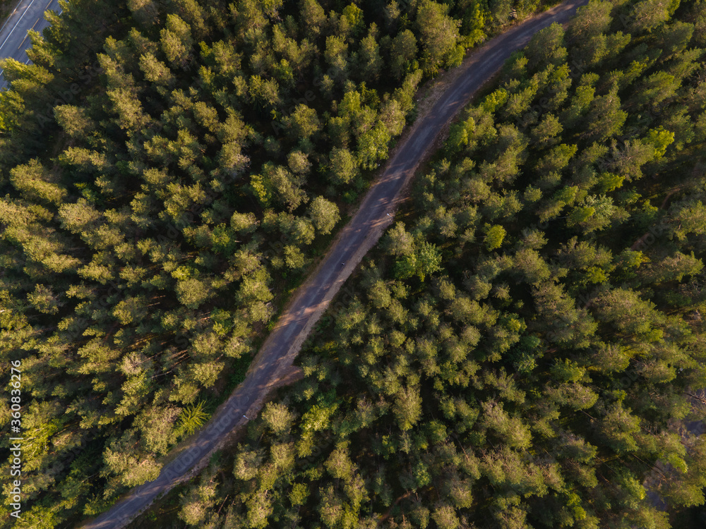 Idyllic winding road through the green pine forest in finland