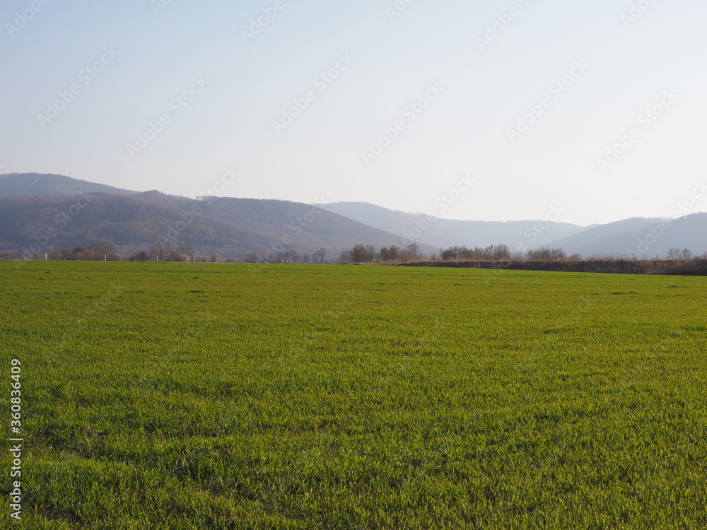 Scenic Silesian Beskid Mountains range seen from sport airfield in european Bielsko-Biala city in Poland, clear blue sky in 2020 warm sunny spring day on April.