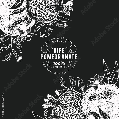 Pomegranate fruit design template. Hand drawn vector fruit illustration on chalk board. Retro botanical background.