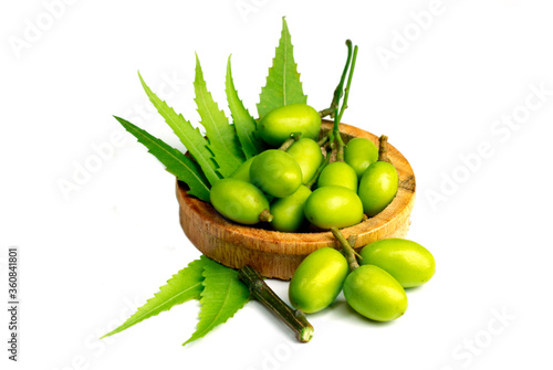 Medicinal neem fruits with twigs on white background