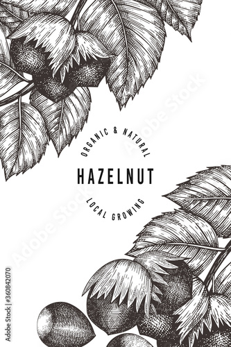 Hand drawn sketch hazelnut design template. Organic food vector illustration on white background. Retro  nut illustration. Engraved style botanical background.