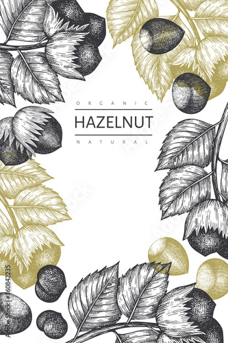 Hand drawn sketch hazelnut design template. Organic food vector illustration on white background. Retro  nut illustration. Engraved style botanical background.