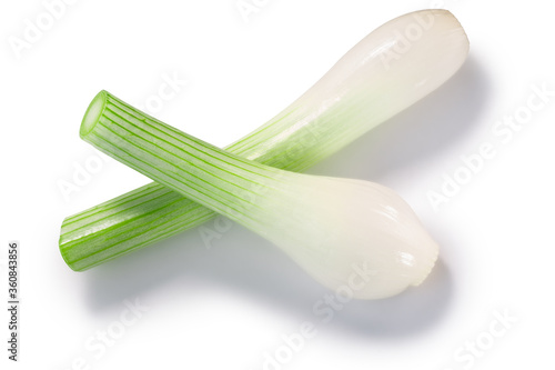 Leek or green spring  onion stems with bulb crossed isolated w clipping paths  top view