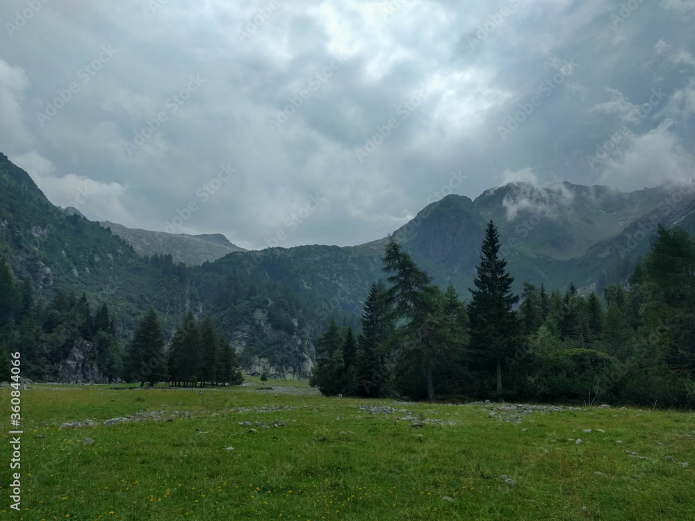 Mountain valley with green grass,trees and clouds on background, Italian Alps.