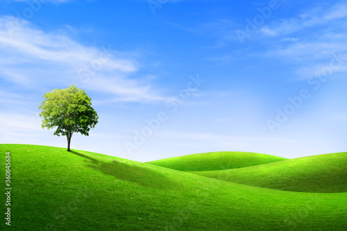 Green tree on grass meadow field and little hill with white clouds and blue sky in summer seasonal.