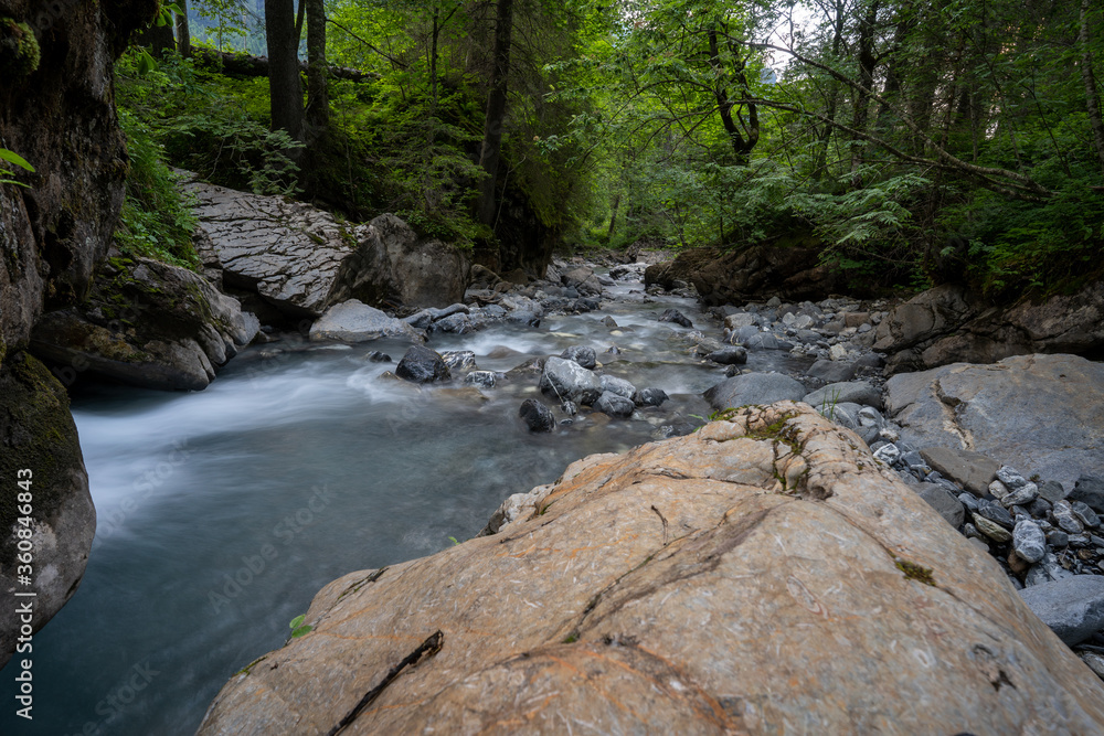 Obraz premium Weisstannental in der Schweiz