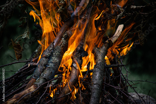 fire in the woods