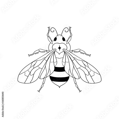 Abstract black honey bee vector illustration and line art logo design element.