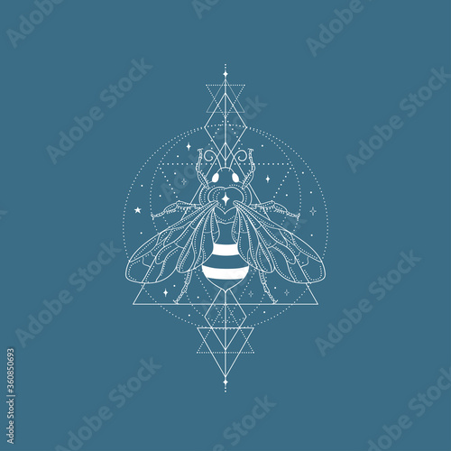 Abstract white honey bee vector illustration and line art logo design elements with stars