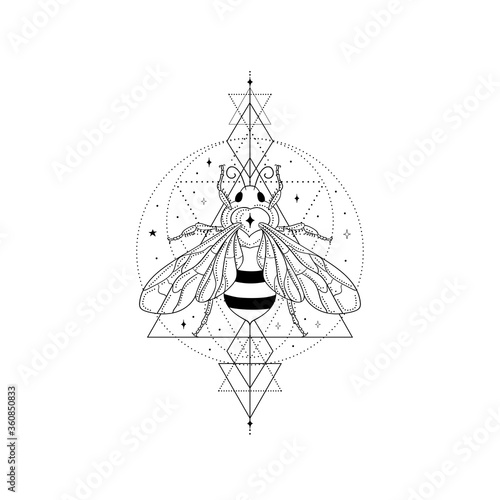 Abstract black honey bee vector illustration and line art logo design elements with stars