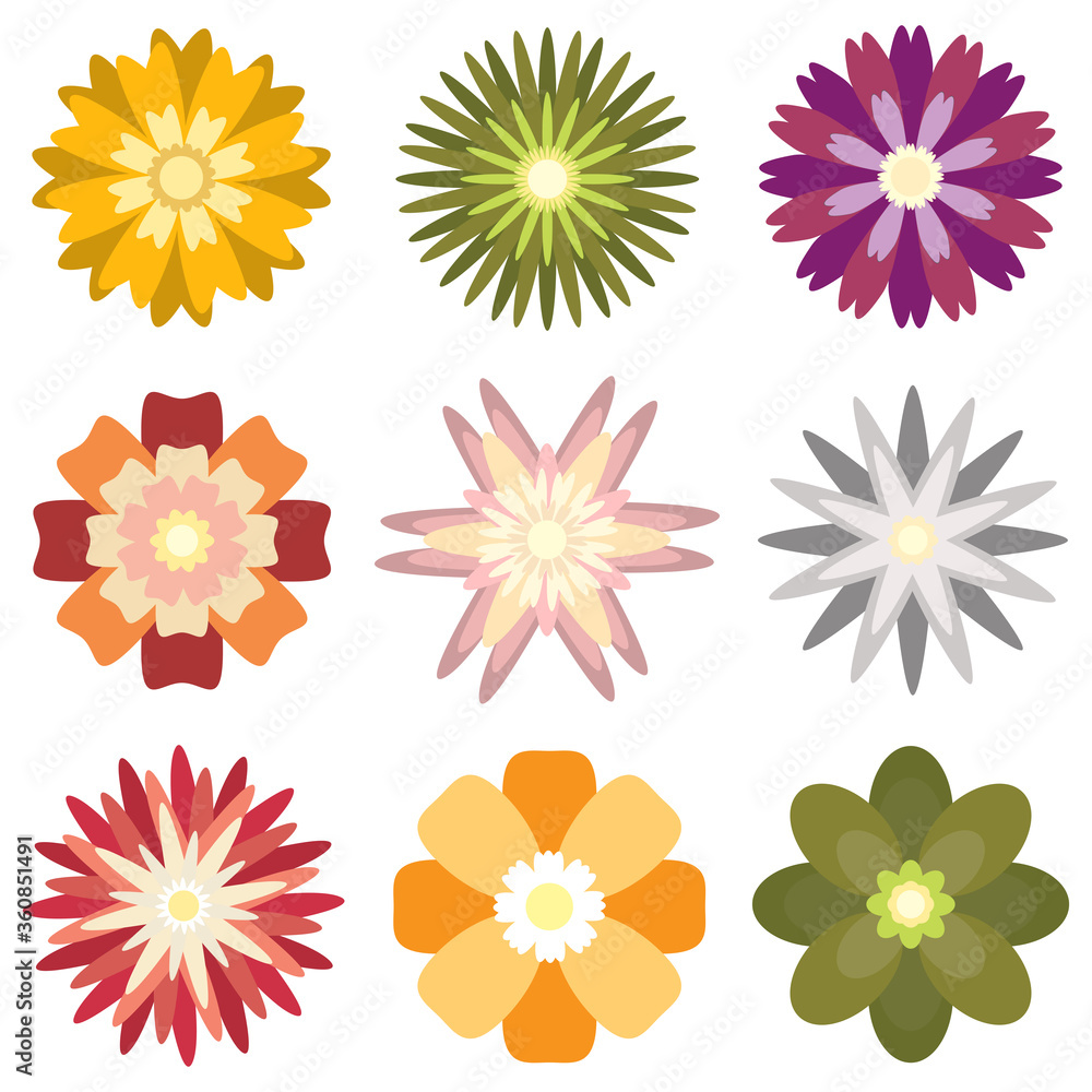 Colorful spring flowers collection set isolated on white background vector illustration.