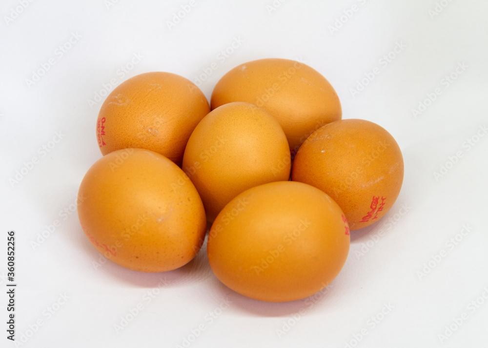 eggs on white background