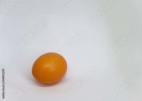 egg on a white background