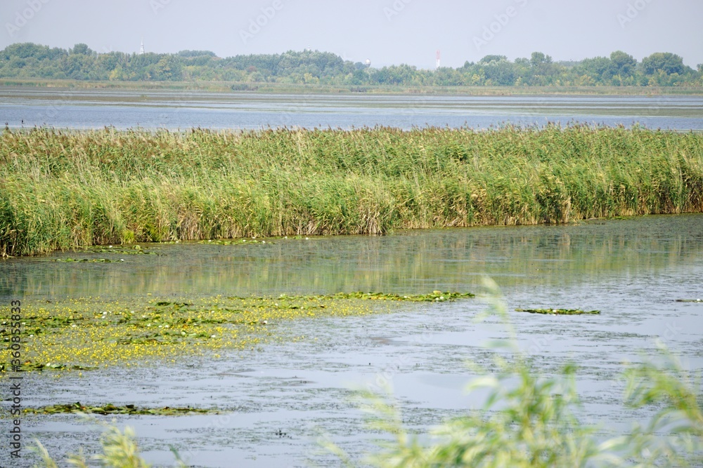 Tisza-tó