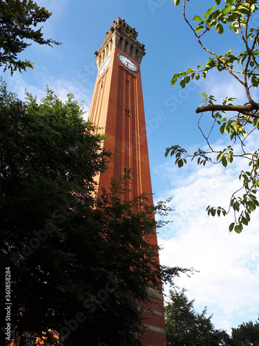 Canvastavla old joe at university of Birmingham