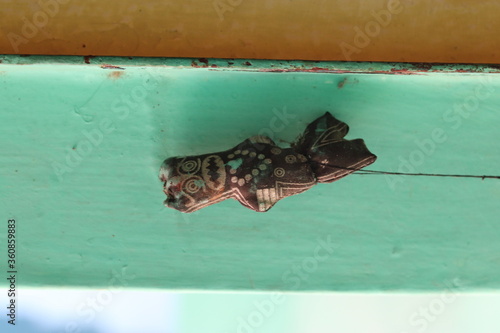 Shani Maharaj hangs upside down on the wall of the house