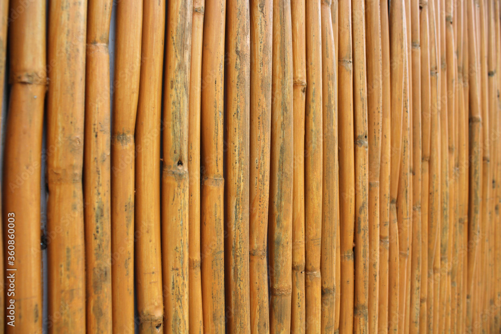 A wall of dry bamboo stems. Background. Texture. Substrate. A wall of dry bamboo stems. Background. Texture. Substrate.