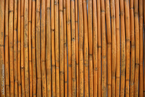 Fototapeta Naklejka Na Ścianę i Meble -  A wall of dry bamboo stems. Background. Texture. Substrate.