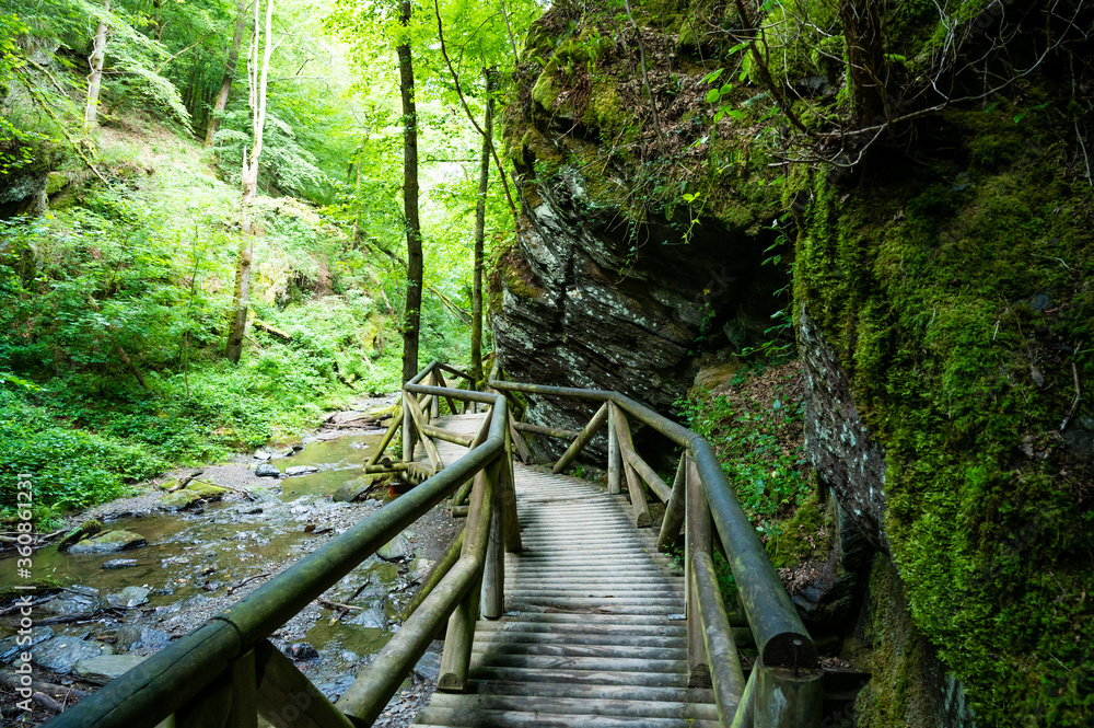 hiking trail along a brook in the forest with wooden bridges hiking trail along a brook in the forest with wooden bridges