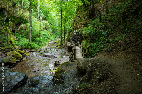 hiking trail along a brook in the forest with wooden bridges photo