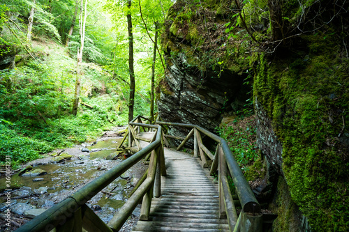 hiking trail along a brook in the forest with wooden bridges