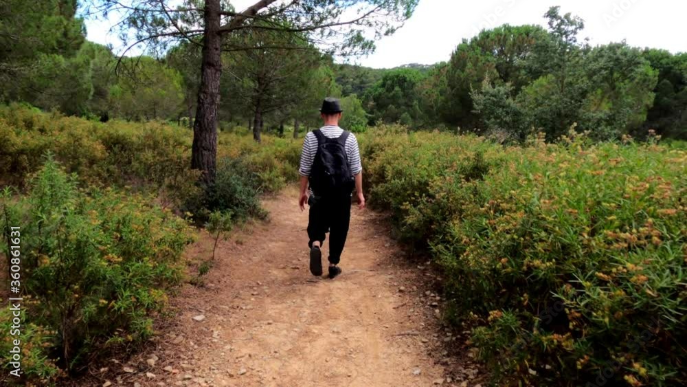 Hiking. A man in hat with a backpack walks on a forest path. Hiking in the woods. Golden light in the green forest. Forest hike. Sunny summer day. Walking among the trees. Holidays in the countryside. Hiking. A man in hat with a backpack walks on a forest path. Hiking in the woods. Golden light in the green forest. Forest hike. Sunny summer day. Walking among the trees. Holidays in the countryside.