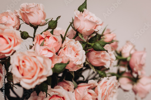 bouquet of roses on light background