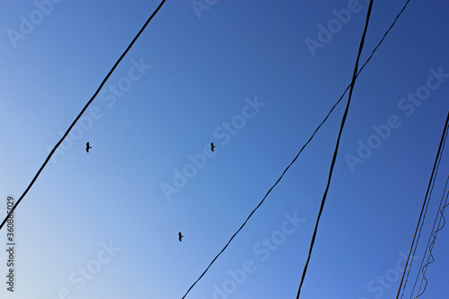 sky