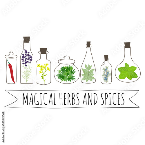 magical herbs and spices inside old fashion apothecary jars, vector
