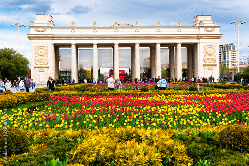 MOSCOW, RUSSIA - MAY 4, 2019: Beautiful tulips flower in Gorky municipal park, Moscow, Russia photo