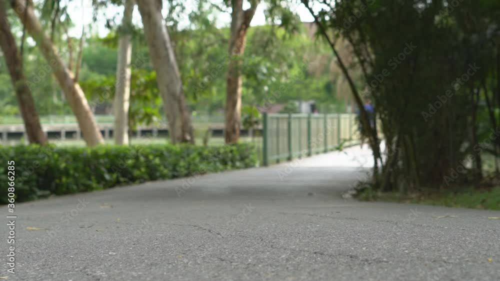 Asian child or kid girl riding bicycle or people cycling fun on bike in public park with green garden and nature tree for sport exercise to healthy on holiday and slow by focus road and then to people Asian child or kid girl riding bicycle or people cycling fun on bike in public park with green garden and nature tree for sport exercise to healthy on holiday and slow by focus road and then to people
