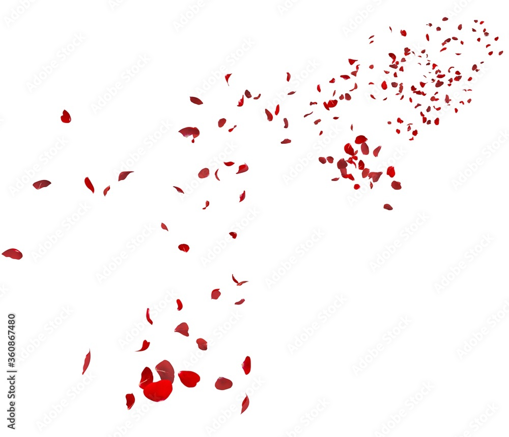 Red rose petals fly in the air Red rose petals fly in the air