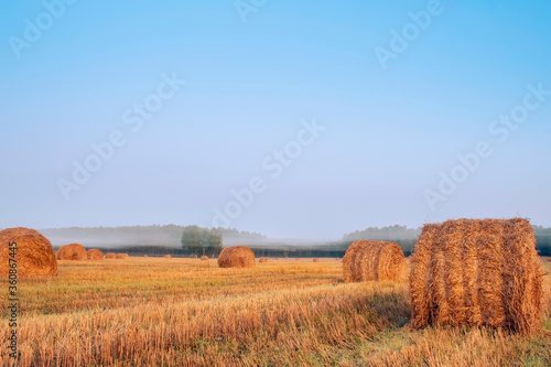 Straw bales on farmland on autumn sunrise.