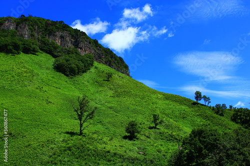 Green and blue