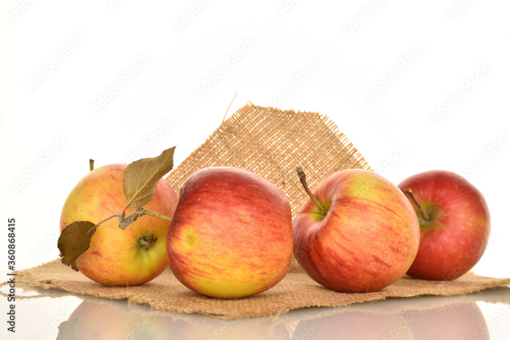 Ripe red apples, close-up, on a white background. Ripe red apples, close-up, on a white background.