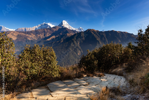 Walking trail to Poon hill view point at Nepal. Poon hill is the famous view point in Gorepani village to see beautiful sunrise over Annapurna mountain range in Nepal photo