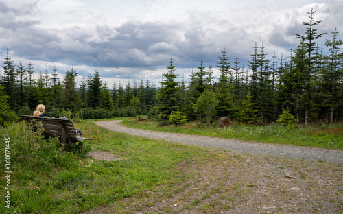 Rothaarsteig, Sauerland, Germany photo