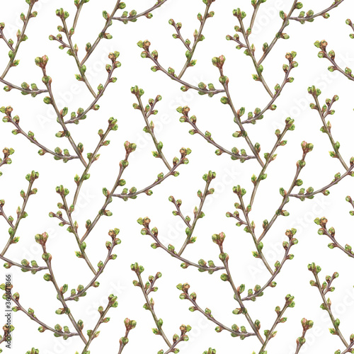 Sprigs of cherries with buds. Watercolor seamless pattern on a white background. Delicate print for fabric, wallpaper or wrapping paper.