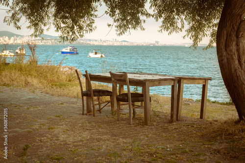 An old wooden table and two chairs under a tree on a beach overgrown with grass overlooking the sea and the city in the distance