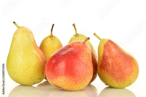 Sweet ripe pears, close-up, on a white background.