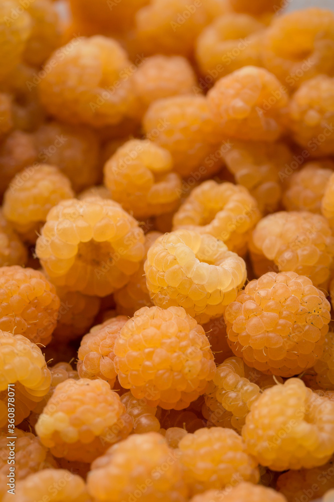 yellow raspberries in vertical format. Close up view yellow raspberries in vertical format. Close up view