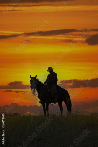 Cowboy on horseback silhouette