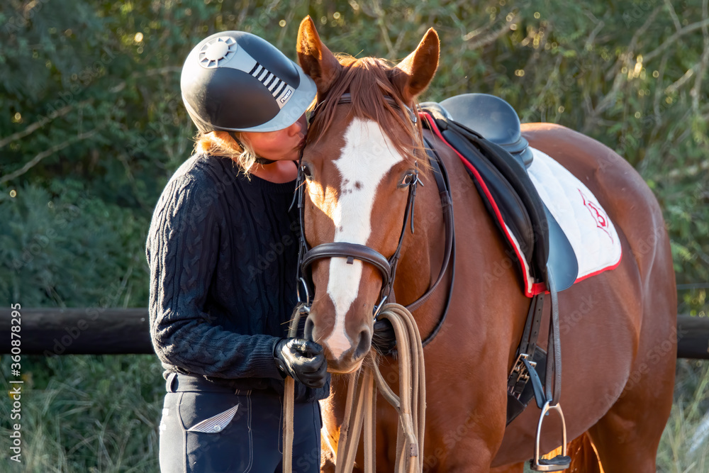 Obraz premium Horse reward