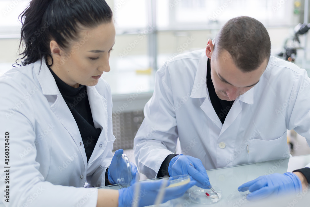 Group of Laboratory scientists working at lab with test tubes, test or research in clinical laboratory.Science, chemistry, biology, medicine and people concept. Group of Laboratory scientists working at lab with test tubes, test or research in clinical laboratory.Science, chemistry, biology, medicine and people concept.