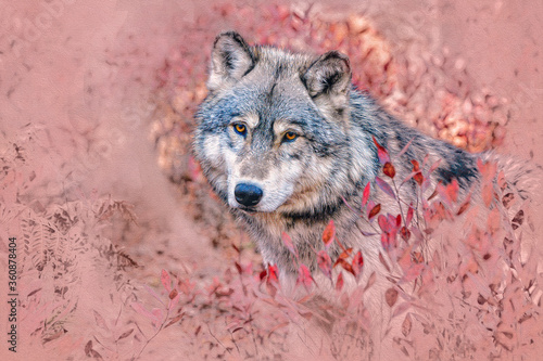 Wallpaper Mural Timber wolf,digital oil painting Torontodigital.ca