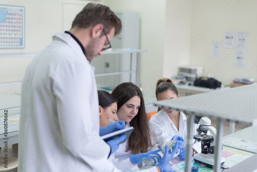 Obraz premium Group of Laboratory scientists working at lab with test tubes, test or research in clinical laboratory.Science, chemistry, biology, medicine and people concept.